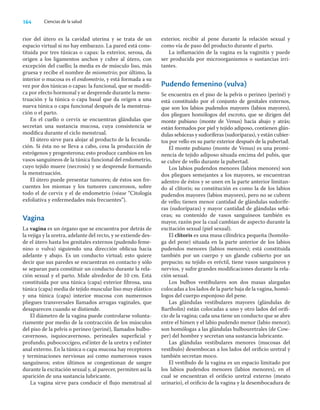164 Ciencias de la salud
rior del útero es la cavidad uterina y se trata de un
espacio virtual si no hay embarazo. La pared está cons-
tituida por tres túnicas o capas: la exterior, serosa, da
origen a los ligamentos anchos y cubre al útero, con
excepción del cuello; la media es de músculo liso, más
gruesa y recibe el nombre de miometrio; por último, la
interior o mucosa es el endometrio, y está formada a su
vez por dos túnicas o capas: la funcional, que se modiﬁ-
ca por efecto hormonal y se desprende durante la mens-
truación y la túnica o capa basal que da origen a una
nueva túnica o capa funcional después de la menstrua-
ción o el parto.
En el cuello o cervix se encuentran glándulas que
secretan una sustancia mucosa, cuya consistencia se
modiﬁca durante el ciclo menstrual.
El útero sirve para alojar al producto de la fecunda-
ción. Si ésta no se lleva a cabo, cesa la producción de
estrógenos y progesterona; esto produce cambios en los
vasos sanguíneos de la túnica funcional del endometrio,
cuyo tejido muere (necrosis) y se desprende formando
la menstruación.
El útero puede presentar tumores; de éstos son fre-
cuentes los miomas y los tumores cancerosos, sobre
todo el de cervix y el de endometrio (véase “Citología
exfoliativa y enfermedades más frecuentes”).
Vagina
La vagina es un órgano que se encuentra por detrás de
la vejiga y la uretra, adelante del recto, y se extiende des-
de el útero hasta los genitales externos (pudendo feme-
nino o vulva) siguiendo una dirección oblicua hacia
adelante y abajo. Es un conducto virtual; esto quiere
decir que sus paredes se encuentran en contacto y sólo
se separan para constituir un conducto durante la rela-
ción sexual y el parto. Mide alrededor de 10 cm. Está
constituida por una túnica (capa) exterior ﬁbrosa, una
túnica (capa) media de tejido muscular liso muy elástico
y una túnica (capa) interior mucosa con numerosos
pliegues transversales llamados arrugas vaginales, que
desaparecen cuando se distiende.
El diámetro de la vagina puede controlarse volunta-
riamente por medio de la contracción de los músculos
del piso de la pelvis o perineo (periné), llamados bulbo-
cavernoso, isquiocavernoso, perineales superﬁcial y
profundo, pubococcígeo, esfínter de la uretra y esfínter
anal externo. En la túnica o capa mucosa hay receptores
y terminaciones nerviosas así como numerosos vasos
sanguíneos; estos últimos se congestionan de sangre
durante la excitación sexual y, al parecer, permiten así la
aparición de una sustancia lubricante.
La vagina sirve para conducir el ﬂujo menstrual al
exterior, recibir al pene durante la relación sexual y
como vía de paso del producto durante el parto.
La inﬂamación de la vagina es la vaginitis y puede
ser producida por microorganismos o sustancias irri-
tantes.
Pudendo femenino (vulva)
Se encuentra en el piso de la pelvis o perineo (periné) y
está constituido por el conjunto de genitales externos,
que son los labios pudendos mayores (labios mayores),
dos pliegues homólogos del escroto, que se dirigen del
monte pubiano (monte de Venus) hacia abajo y atrás;
están formados por piel y tejido adiposo, contienen glán-
dulas sebáceas y sudoríferas (sudoríparas), y están cubier-
tos por vello en su parte exterior después de la pubertad.
El monte pubiano (monte de Venus) es una promi-
nencia de tejido adiposo situada encima del pubis, que
se cubre de vello durante la pubertad.
Los labios pudendos menores (labios menores) son
dos pliegues semejantes a los mayores, se encuentran
adentro de éstos y se unen en la parte anterior limitan-
do al clítoris; su constitución es como la de los labios
pudendos mayores (labios mayores), pero no se cubren
de vello; tienen menor cantidad de glándulas sudorífe-
ras (sudoríparas) y mayor cantidad de glándulas sebá-
ceas; su contenido de vasos sanguíneos también es
mayor, razón por la cual cambian de aspecto durante la
excitación sexual (piel sexual).
El clítoris es una masa cilíndrica pequeña (homólo-
ga del pene) situada en la parte anterior de los labios
pudendos menores (labios menores); está constituida
también por un cuerpo y un glande cubierto por un
prepucio; su tejido es eréctil, tiene vasos sanguíneos y
nervios, y sufre grandes modiﬁcaciones durante la rela-
ción sexual.
Los bulbos vestibulares son dos masas alargadas
colocadas a los lados de la parte baja de la vagina, homó-
logos del cuerpo esponjoso del pene.
Las glándulas vestibulares mayores (glándulas de
Bartholin) están colocadas a uno y otro lados del oriﬁ-
cio de la vagina; cada una tiene un conducto que se abre
entre el himen y el labio pudendo menor (labio menor);
son homólogas a las glándulas bulbouretrales (de Cow-
per) del hombre y secretan una sustancia lubricante.
Las glándulas vestibulares menores (mucosas del
vestíbulo) desembocan a los lados del oriﬁcio uretral y
también secretan moco.
El vestíbulo de la vagina es un espacio limitado por
los labios pudendos menores (labios menores), en el
cual se encuentran el oriﬁcio uretral externo (meato
urinario), el oriﬁcio de la vagina y la desembocadura de
 