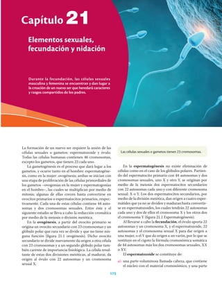 Durante la fecundación, las células sexuales
masculina y femenina se encuentran y dan lugar a
la creación de un nuevo ser que heredará caracteres
y rasgos compartidos de los padres.
Capítulo
Elementos sexuales,
fecundación y nidación
173
21
La formación de un nuevo ser requiere la unión de las
células sexuales o gametos: espermatozoide y óvulo.
Todas las células humanas contienen 46 cromosomas,
excepto los gametos, que tienen 23 cada uno.
La gametogénesis es el proceso que dará lugar a los
gametos, y ocurre tanto en el hombre: espermatogéne-
sis, como en la mujer: ovogénesis; ambas se inician con
una etapa de proliferación de las células primordiales de
los gametos –ovogonias en la mujer y espermatogonias
en el hombre–, las cuales se multiplican por medio de
mitosis; algunas de ellas crecen hasta convertirse en
ovocitos primarios o espermatocitos primarios, respec-
tivamente. Cada una de estas células contiene 44 auto-
somas y dos cromosomas sexuales. Entre éste y el
siguiente estadio se lleva a cabo la reducción cromática
por medio de la meiosis o división meiótica.
En la ovogénesis, a partir del ovocito primario se
origina un ovocito secundario con 23 cromosomas y un
glóbulo polar que rara vez se divide y que no tiene nin-
guna función (ﬁgura 21.1 orogénesis). Dicho ovocito
secundario se divide nuevamente da origen a otra célula
con 23 cromosomas y a un segundo glóbulo polar tam-
bién carente de importancia ﬁsiológica. La célula resul-
tante de estas dos divisiones meióticas, al madurar, da
origen al óvulo con 22 autosomas y un cromosoma
sexual X.
En la espermatogénesis no existe eliminación de
células como en el caso de los glóbulos polares. Partien-
do del espermatocito primario con 44 autosomas y dos
cromosomas sexuales, uno X y otro Y, se originan por
medio de la meiosis dos espermatocitos secundarios
con 22 autosomas cada uno y con diferente cromosoma
sexual: X o Y. Los dos espermatocitos secundarios, por
medio de la división meiótica, dan origen a cuatro esper-
mátides que ya no se dividen y maduran hasta convertir-
se en espermatozoides, los cuales tendrán 22 autosomas
cada uno y dos de ellos el cromosoma X y los otros dos
el cromosoma Y (ﬁgura 21.1 Espermatogénesis).
Al llevarse a cabo la fecundación, el óvulo aporta 22
autosomas y un cromosoma X, y el espermatozoide, 22
autosomas y el cromosoma sexual X para dar origen a
una mujer, o el Y que da origen a un varón, por lo que se
restituye en el cigoto la fórmula cromosómica somática
de 44 autosomas más los dos cromosomas sexuales, XX
o XY.
El espermatozoide se constituye de:
a) una parte voluminosa llamada cabeza, que contiene
el núcleo con el material cromosómico, y una parte
Las células sexuales o gametos tienen 23 cromosomas.
 