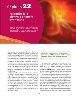 Luego de la fecundación, el óvulo fecundado
se instala en las paredes del útero y da lugar a
la placenta. Ésta se encarga de cubrir todos los
requerimientos del embrión para desarrollarse.
Capítulo
Formación de la
placenta y desarrollo
embrionario
177
22
En el transcurso del embarazo, al crecer el huevo, las
deciduas parietal y capsular se unen formando una
membrana que aísla el interior del útero de los órganos
genitales inferiores; de esta manera, el producto de la
concepción queda protegido de posibles alteraciones
externas. La decidua interútero-placentaria o basal se
congestiona, se llena de vasos sanguíneos, algunos de
los cuales se unen entre sí formando lagos sanguíneos y
constituyen la porción uterina (materna) de la placenta.
La porción fetal de la placenta se constituye de las vello-
sidades coriales. Éstas son las prolongaciones de las
células del trofoblasto que previamente penetraron en
el endometrio.
Cada vellosidad tiene numerosos vasos sanguíneos
que se unen hasta formar dos arterias y una vena, y se
dirigen al embrión a través del funículo (cordón) umbi-
lical. Las vellosidades absorben oxígeno y sustancias
nutritivas de los lagos sanguíneos de la madre y los lle-
van al embrión a través de la vena umbilical; el bióxido
de carbono y las sustancias de desecho del producto lle-
gan por la arteria umbilical a los lagos maternos. Como
se puede observar, no hay mezcla entre las sangres
materna y la del producto, esto se conoce como barrera
placentaria; sin embargo, algunos virus y sustancias
pueden atravesarla.
Inmediatamente después de la fecundación, el huevo
o cigoto se divide en dos células llamadas blastómeras;
luego, en 4, 8, 16, y así en forma sucesiva hasta formar un
conjunto de células íntimamente unidas, que recibe el
nombre de mórula (ﬁgura 21.1 Mórula). Cada blastóme-
ra tiene características de diferenciación muy amplias,
porque de aquí se formarán todos los tejidos y órganos.
Las células continúan dividiéndose y se distribuyen en
una capa periférica llamada trofoblasto, y un conjunto de
células en el interior, denominada masa celular interna o
embrioblasto. Entre el trofoblasto y el embrioblasto se for-
ma una cavidad llena de líquido o blastocele. En este esta-
dio,llamadoblástula,blastocistoovesículablastodérmica
(ﬁgura 21.1 Blastocisto temprano y tardío), llega a la cavi-
dad uterina, aproximadamente siete días después de la
fecundación. Las células del trofoblasto tienen diferente
función que las del embrioblasto; las primeras nutren a la
masa celular interna, intervienen en el proceso de nidación
La placenta se empieza formar en el endometrio a
partir de las vellosidades coriales que absorben oxígeno
y sustancias nutritivas de la madre para llevarlas al
producto.
 