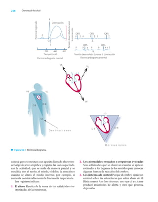 248 Ciencias de la salud
cabeza que se conectan a un aparato llamado electroen-
cefalógrafo; éste ampliﬁca y registra las ondas que indi-
can la actividad, que se mide de manera parcial y se
modiﬁca con el sueño, el miedo, el dolor, la atención o
cuando se altera el medio interno; por ejemplo, si
aumenta considerablemente la frecuencia respiratoria.
Los registros indican:
1. El ritmo Resulta de la suma de las actividades sin-
cronizadas de las neuronas.
2. Los potenciales evocados o respuestas evocadas
Son actividades que se observan cuando se aplican
estímulos a los órganos de los sentidos para conocer
algunas formas de reacción del cerebro.
3. Los sistemas de control Porque el cerebro ejerce un
control sobre las estructuras que están abajo de él.
Básicamente hay dos sistemas: uno que al excitarse
produce reacciones de alerta y otro que provoca
depresión.
Figura 35.1 Electrocardiograma.
D e r i v a c i o n e s
Potencial
registrado
Contracción
Tensión
desarrollada
durante
la
contracción
Tiempo (m/s)
Electrocardiograma normal
200 400 600
Tensión desarrollada durante la contracción
Electrocardiograma anormal
R
P
Q
S
T QRS
QRS QRS
P T P P P
T T
A
QRS QRS
P P P P P
T T
+
B
D i i
VR
VL
VF
VR VL
D I
D II
VF
D III
D e r i v a c i o n e s
D I
D II D III
 