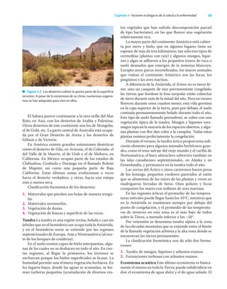 19
Capítulo 4 Factores ecológicos de la salud y la enfermedad
El Sahara parece continuarse a la otra orilla del Mar
Rojo, en Asia, con los desiertos de Arabia y Palestina.
Otros desiertos de este continente son los de Mongolia,
el de Gobi, etc. La parte central de Australia está ocupa-
da por el Gran Desierto de Arena y los desiertos de
Gibson y de Victoria.
En América existen grandes extensiones desérticas
como el desierto de Gila, en Arizona, el de Colorado, el
del Valle de la Muerte, el de Utah y el de Mohave, en
California. En México ocupan parte de los estados de
Chihuahua, Coahuila y Durango en el llamado Bolsón
de Mapimí, así como una pequeña parte de Baja
California. Estas últimas zonas evolucionan a veces
hacia el desierto verdadero, y otras, hacia una estepa
más o menos seca.
Clasiﬁcación ﬁsonómica de los desiertos:
1. Matorrales que pierden sus hojas de manera irregu-
lar.
2. Matorrales xeromorfos.
3. Vegetación de dunas.
4. Vegetación de ﬁsuras y superﬁcie de las rocas.
Tundra La tundra es una región yerma, helada y casi sin
árboles que en el hemisferio sur ocupa toda la Antártida,
y en el hemisferio norte se extiende por las regiones
septentrionales de Europa, Asia y Norteamérica (al nor-
te de los bosques de coníferas).
En el suelo existen capas de hielo interpuestas, algu-
nas de las cuales no se deshacen en todo el año. En cier-
tas regiones, al llegar la primavera, los terrenos se
encharcan porque los hielos superﬁciales se licuan. La
humedad permite una efímera vegetación herbácea. En
los lugares bajos, donde las aguas se acumulan, se for-
man turberas pequeñas (acumulación de diversos res-
tos vegetales que han sufrido descomposición parcial
de tipo bacteriano), en las que ﬂorece una vegetación
relativamente rica.
La mayor parte del continente Antártico está cubier-
ta por nieve y hielo, que en algunos lugares tiene un
espesor de más de tres kilómetros; tan sólo tres tipos de
cormoﬁtas (plantas con raíz) y algunos musgos, líque-
nes y algas se adhieren a los pequeños trozos de roca o
suelo desnudos que emergen de la inmensa blancura.
Excepto unos pocos invertebrados, los únicos animales
que visitan el continente Antártico son las focas, los
pingüinos y las aves marinas.
A diferencia de la Antártida, el Ártico no es tierra ﬁr-
me, sino un casquete de mar perennemente congelado;
las tierras que bordean la fosa norpolar están cubiertas
de nieve durante más de la mitad del año. Pero en verano
ﬂorecen durante unos cuantos meses; esta vida germina
en la capa superior de la tierra, pues por debajo, el suelo
continúa permanentemente helado durante todo el año.
Este tipo de suelo llamado permafrost, se cubre con una
vegetación típica de la tundra. Musgos y líquenes vera-
niegos tapizan la mayoría de los espacios abiertos, y algu-
nas plantas con ﬂor dan color a la campiña. Todas estas
plantas resisten perfectamente la congelación.
Durante el verano, la tundra ártica proporciona suﬁ-
ciente alimento para algunos animales herbívoros gran-
des, como el reno salvaje del viejo mundo y el caribú de
Norteamérica; el buey almizclero sobrevive también en
las islas canadienses septentrionales, en Alaska y en
Groenlandia, y permanece en la tundra todo el año.
Las zorras del Ártico y otros carnívoros hacen presa
de los lemings, pequeños roedores parecidos al ratón
que se alimentan de las raíces de las plantas y viven en
madrigueras forradas de heno. Osos polares y focas
comparten los mares con millares de aves marinas.
En las regiones árticas el promedio de las tempera-
turas estivales puede llegar hasta los 10°C, mientras que
en la Antártida se mantienen siempre por debajo del
punto de congelación, y el promedio de las temperatu-
ras de invierno en esta zona es el más bajo de todos
sobre la Tierra, a menudo inferior a los –50°.
Por extensión se denomina tundra alpina a la zona
de las elevadas montañas que se extiende entre el límite
de la llamada vegetación arbórea y la alta zona donde se
encuentran las nieves permanentes.
La clasiﬁcación ﬁsonómica nos da sólo dos forma-
ciones:
1. Tundra de musgos, líquenes y arbustos enanos.
2. Formaciones turbosas con arbustos enanos.
Ecosistema acuático Este último ecosistema es básica-
mente el mismo en toda la Tierra; puede subdividirse en
dos: el ecosistema de agua dulce y el de agua salada. El
Figura 4.3 Los desiertos cubren la quinta parte de la superficie
terrestre. A pesar de lo extremoso de su clima, numerosos organis-
mos se han adaptado para vivir en ellos.
 