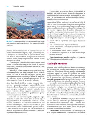 20 Ciencias de la salud
primero estudia las relaciones de los seres vivos con su
medio ambiente en estanques y lagos, corrientes y ríos,
y el segundo dichas relaciones en agua salada: los océa-
nos. Está de más insistir en la importancia del medio
acuático para la vida y el equilibrio del planeta: la vida
se originó en el mar.
Existe una gran variedad de vida tanto vegetal como
animal en este ecosistema y es aquí donde se originan
numerosas y complejas redes biológicas como las cade-
nas alimentarias.
Casi toda la vida acuática se apoya en el plancton:
animales y plantas que ﬂotan o van a la deriva, general-
mente cerca de la superﬁcie del agua; muchos son
microorganismos que constituyen la base de la pirámi-
de vital sobre la que se apoya la alimentación de casi
todos los peces y hasta de las grandes ballenas.
Agua dulce Puede dividirse en agua corriente (ríos y
arroyos) y agua estancada (lagos y lagunas). En las zonas
ribereñas, donde el agua entra en contacto con la tierra,
crece una gran variedad de plantas y animales como
juncos y carrizos, lirios, espigas y ranúnculos. Entre
estas plantas viven crustáceos, platelmintos, proto-
zoarios, sanguijuelas, etcétera.
En los ríos con corrientes rápidas, las plantas supe-
riores no pueden echar raíces, pero sí crecen algas y
musgos que sirven de alimento a los animales. Las con-
diciones variables de las corrientes determinan el tipo
de fauna: en las limpias y rápidas vive la trucha; en aguas
tranquilas, las carpas; y en los fondos, gusanos y larvas,
y otros moluscos. Estas aguas son tan ricas que en los
trópicos proporcionan alimento suﬁciente a cocodrilos,
hipopótamos y delﬁnes de río.
Cuando el río se aproxima al mar, el agua salada se
desplaza corriente arriba por debajo del agua dulce. Al
principio ambas están separadas, pero cuando se mez-
clan y se vuelven salobres, las formas de vida marinas y
ﬂuviales viven conjuntamente.
Agua salada Si bien puede decirse que hay variedad de
vida en los océanos, comparativamente es menos abun-
dante que en otros ecosistemas, al parecer por la mayor
uniformidad de condiciones en el mar. Sin embargo, sólo
los insectos y algunas clases de anﬁbios faltan en él por
completo, mientras que otras especies viven exclusiva-
mente en el mar: braquiópodos, equinodermos, esponjas,
etc. Los animales y las plantas del mar presentan uno de
cinco tipos de vida que se caracterizan por lo siguiente:
1. Flotan sobre la superﬁcie, como algas, diatomeas,
etcétera.
2. Van a la deriva, como algunos crustáceos.
3. Nadan activamente, como la mayoría de los peces,
delﬁnes, etcétera.
4. Se arrastran en el fondo, como la langosta.
5. Se adhieren a la superﬁcie de las rocas, como la lapa,
el ostión, etcétera.
El medio ambiente social se estudiará en el capítu-
lo “El hombre como individuo social”.
Ecología humana
Como se mencionó, la ecología es la ciencia que estudia
las relaciones que guardan los seres vivos con su medio
ambiente. El hombre se diferencia de los animales y los
vegetales porque es capaz de modiﬁcar su medio
ambiente en forma más rápida y radical (a veces en con-
tra de sí mismo) que estos últimos, razón por la cual la
ecología humana estudia la relación del hombre con su
medio ambiente, sea éste natural o creado por él mismo.
Los grados crecientes de complejidad en la organi-
zación de los seres vivos reciben el nombre de niveles de
organización ecológica y son los siguientes: químico o
molecular, celular, tisular, órganos, sistemas, indivi-
duos, poblaciones, comunidades, ecosistemas y biosfe-
ra. De estos niveles, la ecología estudia a todos, aunque
hace hincapié en poblaciones, comunidades, ecosiste-
mas y biosfera.
Una población humana es un grupo de individuos
de esta especie; la comunidad que forman comprende a
las poblaciones de determinada área. La relación de la
comunidad con el ambiente constituye un ecosistema, y
la biosfera es la capa de la Tierra (suelo, aire y agua)
donde se asientan los ecosistemas.
El ecosistema es la unidad básica de la ecología y en
él se integran los elementos vivientes (bióticos) y los no
Figura 4.4 En los arrecifes de coral se congrega un gran núme-
ro de organismos que interactúan entre sí en una compleja red de
relaciones.
 
