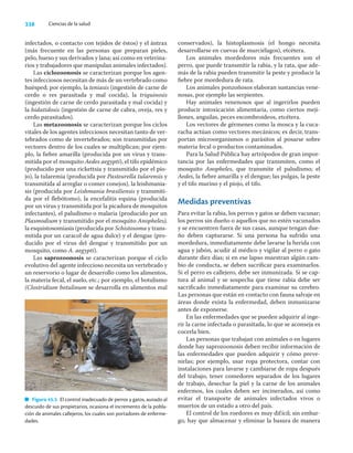 Ciencias_de_la_Salud_Higashida.pdf