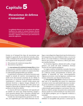 26 Ciencias de la salud
Los glóbulos blancos son un conjunto de células
mediante las cuales el cuerpo humano efectúa
una respuesta inmunitaria en contra de sustancias
extrañas o agentes infecciosos que amenazan la
salud del organismo.
Capítulo
Mecanismos de defensa
e inmunidad
26
Existen en el huésped dos tipos de mecanismos que
impiden la aparición de una infección (entrada y desa-
rrollo o multiplicación de un agente patógeno biológico
en el organismo de una persona o animal):
1. Mecanismos de resistencia inespecíﬁca
2. Mecanismos especíﬁcos
Los mecanismos de resistencia inespecíﬁca actúan
contra una gran cantidad de agentes causales biológicos,
de tal forma que sólo unos cuantos son capaces de produ-
cir enfermedad (patogenicidad), por ejemplo:
La piel intacta constituye una barrera mecánica que
impide la entrada de muchos microorganismos por
medio de la descamación constante de sus células, la
desecación y la secreción de las glándulas sudoríferas
(sudoríparas) y sebáceas; contiene ácidos grasos que
eliminan bacterias y algunos hongos (después de la
pubertad aumenta el contenido de ácidos grasos que
impiden el desarrollo de algunos hongos, como los que
producen la tiña de la cabeza).
La mucosa del tracto respiratorio está tapizada por
un epitelio con moco que atrapa bacterias, hongos y
virus; presenta además cilios o pestañas vibrátiles que
llevan el moco hacia la faringe, donde es deglutido.
Cuando los microorganismos penetran en los teji-
dos, son englobados por unas células llamadas macró-
fagos o macrofagocitos (fagocitosis) que los destruyen o
los transportan a los vasos linfáticos; éstos, a su vez, los
llevan a los nodos linfáticos o linfonodos (ganglios lin-
fáticos) que actúan como barreras o ﬁltros para elimi-
nar muchas bacterias.
En el sistema digestivo, además de la saliva, el jugo
gástrico, con ayuda del ácido clorhídrico, destruye
muchos de estos agentes patógenos.
La vagina contiene lactobacilos normales (bacterias
que producen la fermentación de los hidratos de carbo-
no y fabrican ácidos, principalmente el láctico), que
impiden el desarrollo de otros microorganismos.
Algunas secreciones, como las lágrimas, contienen una
enzima, la lisozima, que destruye las bacterias.
Los mecanismos especíﬁcos se basan en la inmuni-
dad, que es la capacidad que poseen los organismos
vivos para resistir una enfermedad infecciosa o produci-
da por la mordedura o picadura de algunos animales.
Un individuo o un animal es inmune cuando resiste
a determinado agente patógeno o sus toxinas. Esta con-
dición es relativa, porque una protección comúnmente
efectiva puede ser contrarrestada por una dosis excesi-
va del agente patógeno, por su exagerada virulencia o
toxicidad.
La condición contraria a la inmunidad es la suscep-
tibilidad. Es susceptible toda persona o animal que no
5
 