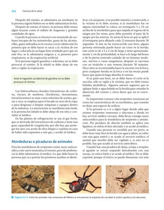 Ciencias_de_la_Salud_Higashida.pdf