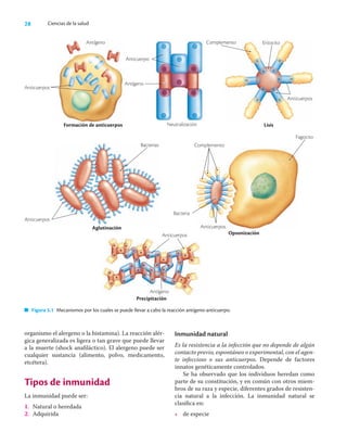 28 Ciencias de la salud
organismo el alergeno o la histamina). La reacción alér-
gica generalizada es ligera o tan grave que puede llevar
a la muerte (shock anaﬁláctico). El alergeno puede ser
cualquier sustancia (alimento, polvo, medicamento,
etcétera).
Tipos de inmunidad
La inmunidad puede ser:
1. Natural o heredada
2. Adquirida
Inmunidad natural
Es la resistencia a la infección que no depende de algún
contacto previo, espontáneo o experimental, con el agen-
te infeccioso o sus anticuerpos. Depende de factores
innatos genéticamente controlados.
Se ha observado que los individuos heredan como
parte de su constitución, y en común con otros miem-
bros de su raza y especie, diferentes grados de resisten-
cia natural a la infección. La inmunidad natural se
clasiﬁca en:
• de especie
Antígeno
Anticuerpos
Formación de anticuerpos Neutralización
Antígeno
Anticuerpo
Complemento Eritocito
Anticuerpos
Lisis
Figura 5.1 Mecanismos por los cuales se puede llevar a cabo la reacción antígeno-anticuerpo.
Bacterias
Anticuerpos
Aglutinación
Complemento
Fagocito
Bacteria
Anticuerpos
Opsonización
Anticuerpos
Antígeno
Precipitación
 