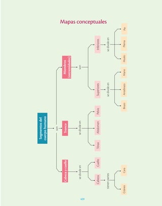 Ciencias_de_la_Salud_Higashida.pdf