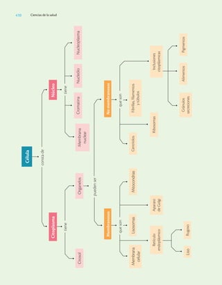 Ciencias_de_la_Salud_Higashida.pdf