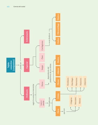 Ciencias_de_la_Salud_Higashida.pdf