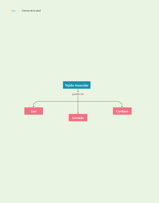 Ciencias_de_la_Salud_Higashida.pdf