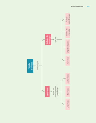 Ciencias_de_la_Salud_Higashida.pdf