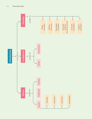 Ciencias_de_la_Salud_Higashida.pdf