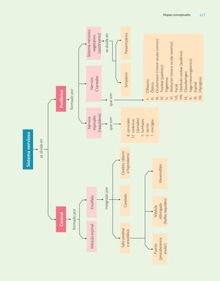 Ciencias_de_la_Salud_Higashida.pdf