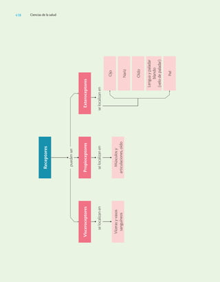 Ciencias_de_la_Salud_Higashida.pdf