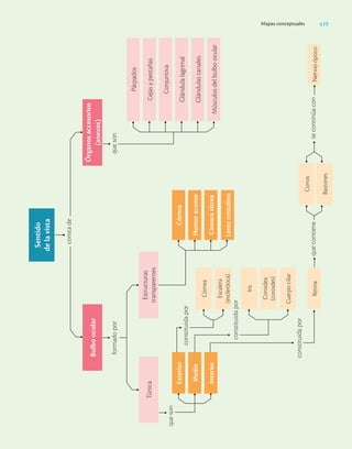 Ciencias_de_la_Salud_Higashida.pdf