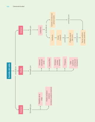 Ciencias_de_la_Salud_Higashida.pdf