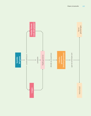 Ciencias_de_la_Salud_Higashida.pdf