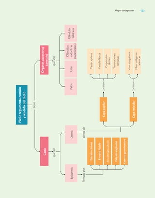 Ciencias_de_la_Salud_Higashida.pdf