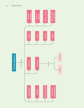 Ciencias_de_la_Salud_Higashida.pdf