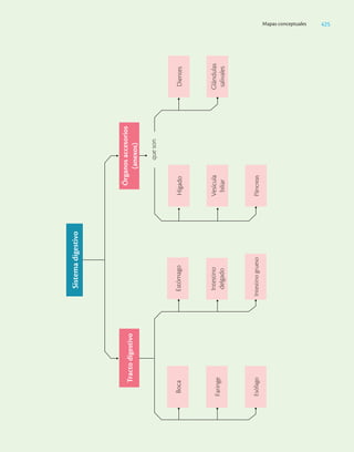 Ciencias_de_la_Salud_Higashida.pdf