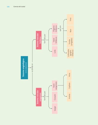 Ciencias_de_la_Salud_Higashida.pdf