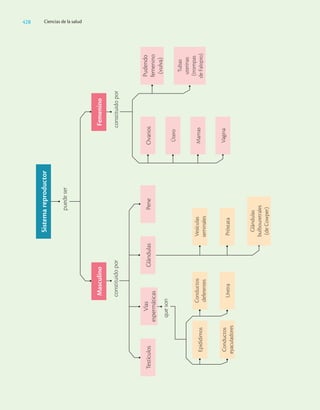 Ciencias_de_la_Salud_Higashida.pdf