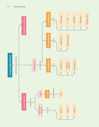 Ciencias_de_la_Salud_Higashida.pdf