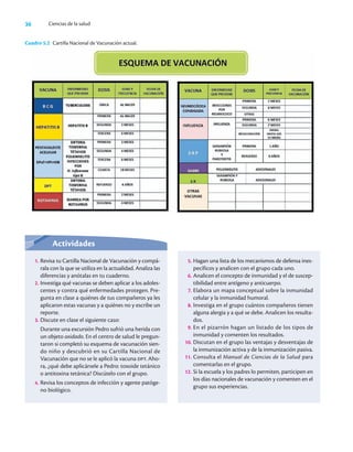 36 Ciencias de la salud
Cuadro 5.2 Cartilla Nacional de Vacunación actual.
Actividades
1. Revisa tu Cartilla Nacional de Vacunación y compá-
rala con la que se utiliza en la actualidad. Analiza las
diferencias y anótalas en tu cuaderno.
2. Investiga qué vacunas se deben aplicar a los adoles-
centes y contra qué enfermedades protegen. Pre-
gunta en clase a quiénes de tus compañeros ya les
aplicaron estas vacunas y a quiénes no y escribe un
reporte.
3. Discute en clase el siguiente caso:
Durante una excursión Pedro sufrió una herida con
un objeto oxidado. En el centro de salud le pregun-
taron si completó su esquema de vacunación sien-
do niño y descubrió en su Cartilla Nacional de
Vacunación que no se le aplicó la vacuna dpt. Aho-
ra, ¿qué debe aplicársele a Pedro: toxoide tetánico
o antitoxina tetánica? Discútelo con el grupo.
4. Revisa los conceptos de infección y agente patóge-
no biológico.
5. Hagan una lista de los mecanismos de defensa ines-
pecíficos y analicen con el grupo cada uno.
6. Analicen el concepto de inmunidad y el de suscep-
tibilidad entre antígeno y anticuerpo.
7. Elabora un mapa conceptual sobre la inmunidad
celular y la inmunidad humoral.
8. Investiga en el grupo cuántos compañeros tienen
alguna alergia y a qué se debe. Analicen los resulta-
dos.
9. En el pizarrón hagan un listado de los tipos de
inmunidad y comenten los resultados.
10. Discutan en el grupo las ventajas y desventajas de
la inmunización activa y de la inmunización pasiva.
11. Consulta el Manual de Ciencias de la Salud para
comentarlas en el grupo.
12. Si la escuela y los padres lo permiten, participen en
los días nacionales de vacunación y comenten en el
grupo sus experiencias.
 
