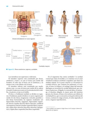 60 Ciencias de la salud
Los miembros son superiores e inferiores.
El miembro superior está constituido por brazo,
antebrazo y mano y se une al tronco por medio del
hombro; el codo une al brazo con el antebrazo, y la
muñeca une a este último con la mano.
El miembro inferior está constituido por muslo,
pierna y pie, y se une al tronco por medio de la cadera;
el muslo y la pierna se unen en la articulación de la rodi-
lla, y la pierna y el pie en el tobillo.
El tórax y el abdomen también se dividen en regio-
nes. El abdomen puede dividirse en nueve regiones por
medio de dos líneas imaginarias verticales paralelas y
dos líneas horizontales; las regiones resultantes son
hipocondrio derecho, epigastrio, hipocondrio izquier-
do, lateral o lumbar derecha (ﬂanco derecho), umbilical
(mesogastrio); lateral o lumbar izquierda (ﬂanco izquier-
do), región iliaca derecha (fosa iliaca derecha), hipogas-
trio y región iliaca izquierda (fosa iliaca izquierda).
En el organismo hay varias cavidades1
: la cavidad
craneal que aloja al encéfalo y se continúa con el canal
vertebral (conducto vertebral o raquídeo), que aloja a la
médula espinal. En la parte anterior se encuentran la
cavidad torácica, que contiene los pulmones, el cora-
zón, el timo, la tráquea y el esófago; abajo del músculo
diafragma se encuentra la cavidad abdominal, que con-
tiene el páncreas, el hígado, la vesícula biliar, el estóma-
go, el intestino delgado, la mayor parte del intestino
grueso, los riñones, el bazo y los uréteres; por último, la
cavidad pélvica, que se encuentra en la parte inferior del
tronco, contiene la vejiga urinaria, el colon sigmoide, el
recto y órganos reproductores.
1
Una cavidad es un espacio o lugar hueco en el cuerpo o dentro de
alguno de sus órganos.
Hipocondrio
derecho
Lumbar derecha
(flanco derecho)
Iliaca derecha
(fosa iliaca
derecha)
Hipocondrio
izquierdo
Lumbar izquierdo
(flanco izquierdo)
Iliaca izquierda
(fosa iliaca izquierda)
División del abdomen en nueve regiones
Cavidades mayores Vista coronal
Cavidad
abdominopélvica
Cavidad
abdominal
Cavidad
pélvica
Cavidad
ventral
Plano sagital Plano transversal
u horizontal
Plano frontal
o coronal
Cavidad
pericárdica
Mediastino
Cavidad
pleural
Diafragma
Epigastris
Hipogastrio
Umbilical
(mesogastrio)
Figura 9.5 Planos anatómicos, regiones y cavidades.
Cavidad torácica
Diafragma
Cavidad
craneal
Canal
vertebral
Cavidad
dorsal
Cavidad
abdominopélvica
Cavidad
abdominal
Cavidad
pélvica
 