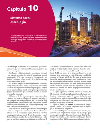 62 Ciencias de la salud
A semejanza de un rascacielos, el cuerpo humano
tiene estructuras que lo sostienen internamente; sin
embargo, el esqueleto humano es extremadamente
dinámico.
Capítulo
Sistema óseo,
osteología
62
La osteología es la rama de la anatomía que estudia
los huesos, que son los órganos blanquecinos y duros que
forman el esqueleto.
Los huesos están constituidos por materia inorgáni-
ca y materia orgánica. La materia inorgánica (aproxi-
madamente 67%) está compuesta básicamente por
fosfato, carbonato y ﬂuoruro de calcio, fosfato de mag-
nesio y cloruro de sodio.
La materia orgánica (aproximadamente 33%) está
compuesta por células, vasos sanguíneos y una sustan-
cia intercelular, principalmente colágena que, a diferen-
cia de la del cartílago, puede impregnarse por completo
de sales de calcio sin que las células mueran al endure-
cerse dicha sustancia.
El hueso es de dos tipos: compacto o esponjoso. Está
cubierto por una membrana, el periostio (excepto en
los extremos que están cubiertos por cartílago) y algu-
nos (los huesos largos) tienen otra membrana llamada
endostio; contienen muchos vasos sanguíneos y tam-
bién vasos linfáticos y nervios.
Si se observa al microscopio, el hueso compacto pre-
senta una disposición concéntrica de sus elementos;
esto no se ve en el hueso esponjoso. Los vasos y nervios
entran perpendicularmente desde el periostio a través
de unos túneles que los llevan hacia el interior —a los
que se les llama canales perforantes o conductos de
Volkmann— que se comunican con los vasos y nervios
que hay en la cavidad medular y con los llamados cana-
les de la osteona o sistema de Havers. La osteona o sis-
tema de Havers corre a lo largo del hueso y, en su
interior, tiene un conducto central llamado canal de la
osteona o Havers, alrededor del cual se encuentran
laminillas óseas dispuestas en capas concéntricas. Entre
las laminillas hay unos espacios llamados lagunas óseas
en los que están los osteocitos, que se originan de unas
células llamadas osteoblastos; las lagunas a su vez se
comunican entre sí por medio de pequeños canales lla-
mados canalículos.
El tejido esponjoso no tiene osteona o sistema de
Havers; está formado por placas de hueso llamadas tra-
béculas y dispuestas según el sentido de las fuerzas
mecánicas que se ejercen sobre el hueso para darle más
resistencia; entre las trabéculas hay médula ósea en la
que hay lagunas con osteocitos.
Según su forma, los huesos se clasiﬁcan en largos,
planos y cortos. Otras clasiﬁcaciones incluyen otro gru-
po, el de los huesos irregulares.
Los huesos largos se caracterizan porque en ellos pre-
domina su eje longitudinal; es decir, son más largos que
anchos; por ejemplo, el fémur, el húmero, la tibia, la fíbu-
la o peroné, el radio, la ulna o cúbito y las falanges. Tienen
una parte media o diáﬁsis y dos extremidades o epíﬁsis.
10
 