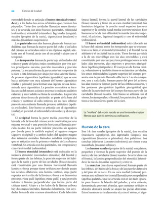 66 Ciencias de la salud
etmoidal) donde se articula el hueso etmoidal (etmoi-
des) y a los lados los arcos orbitarios que coronan los
párpados. Tiene dos cavidades llamadas senos fronta-
les, y se articula con doce huesos: parietales, esfenoidal
(esfenoides), etmoidal (etmoides), lagrimales (unguis),
nasales (propios de la nariz), cigomáticos (malares) y
maxilas (maxilares superiores).
Los parietales son dos huesos planos de forma cua-
drilátera que forman la mayor parte del techo y los lados
del cráneo; se articulan entre sí en el plano sagital, ade-
lante con el frontal, atrás con el occipital y abajo con el
temporal.
Los temporales forman la parte baja de los lados del
cráneo y parte del piso; están constituidos por tres par-
tes principales: escama, porción mastoidea y porción
petrosa. La escama forma la parte anterior y superior de
la sien y está limitada por abajo por una saliente llama-
da proceso cigomático (apóﬁsis cigomática) que se une
hacia adelante con otra saliente del hueso cigomático
(malar o pómulo) para formar una especie de asa deno-
minada arco cigomático. La porción mastoidea se loca-
liza atrás del meato acústico externo (conducto auditivo
externo) y en el adulto se llena de cavidades. La porción
petrosa tiene forma de pirámide, es parte de la base del
cráneo y contiene al oído interno; en su cara inferior
presenta una saliente llamada proceso estiloideo (apóﬁ-
sis estiloides). Este hueso se articula con el cigomático
(malar), el parietal, el esfenoidal (esfenoides) y el occipi-
tal.
El occipital forma la parte media posterior de la
bóveda y de la base del cráneo; está constituido por una
escama vertical y una porción horizontal llamada por-
ción basilar. En su parte inferior presenta un agujero
por donde pasa la médula espinal, el agujero magno
(agujero occipital) y a ambos lados del agujero magno
dos salientes ovaladas llamadas cóndilos occipitales,
que se articulan con la primera vértebra de la columna
vertebral. Se articula con los parietales, los temporales y
con el esfenoidal (esfenoides).
El hueso etmoidal (etmoides) está colocado en la
incisura etmoidal (escotadura etmoidal) del frontal y
forma parte de las órbitas, la porción superior del tabi-
que de la nariz y parte de las cavidades (fosas) nasales;
está constituido por una lámina horizontal llamada
lámina cribosa porque tiene oriﬁcios por donde pasan
los nervios olfatorios; una lámina vertical, cuya parte
superior está arriba de la lámina cribosa y se denomina
proceso crista galli (apóﬁsis crista galli) y una porción
inferior o lámina perpendicular que forma parte del
tabique nasal. Abajo y a los lados de la lámina cribosa
hay dos masas laterales, llamadas laberintos, con cavi-
dades llenas de aire o senos etmoidales. Cada laberinto
(masa lateral) forma la pared lateral de las cavidades
(fosas) nasales y tiene en su cara medial (interna) dos
laminitas delgadas: la concha nasal superior (cornete
superior) y la concha nasal media (cornete medio). Este
hueso se articula con el frontal, la maxila (maxilar supe-
rior), el palatino, lagrimal (unguis) y con el esfenoidal
(esfenoides).
El hueso esfenoidal (esfenoides) está colocado en
la base del cráneo, entre los temporales que se encuen-
tran a su lado, el etmoidal (etmoides) y el frontal hacia
adelante y el occipital hacia atrás. Tiene forma parecida
a la de un murciélago con las alas extendidas y está
constituido por un cuerpo y tres prolongaciones a cada
lado: alas menores, alas mayores y procesos pterigoi-
deos (apóﬁsis pterigoides). El cuerpo es de forma cúbi-
ca, voluminoso y también tiene en su interior cavidades,
los senos esfenoidales; la parte superior del cuerpo pre-
senta una depresión llamada silla turca. Las alas mayo-
res, una a cada lado, forman parte del piso del cráneo;
las alas menores forman parte de las órbitas oculares, y
los procesos pterigoideos (apóﬁsis pterigoides) que
salen de la parte inferior del cuerpo forman parte de las
cavidades (fosas) nasales. Este hueso se articula con el
vómer, los temporales, el frontal, los parietales, los pala-
tinos e incluso forma parte de la sien.
La “mollera” del recién nacido es una fontanela o tejido
fibroso que aun no termina su osificación.
Huesos de la cara
Son 14: dos nasales (propios de la nariz), dos maxilas
(maxilares superiores), dos lagrimales (unguis), dos
cigomáticos (malares o pómulos), dos palatinos, dos
conchas inferiores (cornetes inferiores), un vómer y una
mandíbula (maxilar inferior).
Los huesos nasales (propios de la nariz) son planos,
pequeños y forman la parte superior del puente de la
nariz y de las cavidades (fosas) nasales. Se articulan con
el frontal, la lámina perpendicular del etmoidal (etmoi-
des), la maxila (maxilar superior) y entre sí.
Las maxilas (maxilares superiores) forman parte de
las órbitas, del techo de la boca y de las paredes laterales
y del piso de la nariz. En su cara medial (interna) pre-
sentan una saliente horizontal llamada proceso palatino
(apóﬁsis palatina) que se articula con el del lado opues-
to para formar la bóveda del paladar, y otra saliente,
denominada proceso alveolar, que contiene oriﬁcios o
alvéolos dentales donde se alojan las piezas dentarias.
Estos huesos se articulan entre sí y con el vómer, el cigo-
 