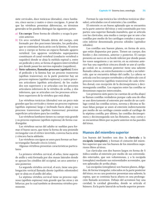 71
Capítulo 10 Sistema óseo, osteología
siete cervicales, doce torácicas (dorsales), cinco lumba-
res, cinco sacras y cuatro o cinco coccígeas. A pesar de
que las vértebras presentan diferencias, en términos
generales se les pueden distinguir las siguientes partes:
a) Un cuerpo Tiene forma de cilindro y ocupa la por-
ción anterior.
b) Un arco vertebral Situado detrás del cuerpo, está
formado por dos porciones laterales, los pedículos,
que se continúan hacia atrás con la lámina. Al unirse
arco y cuerpo se forma un espacio llamado agujero
vertebral. Los agujeros vertebrales superpuestos
constituyen el canal vertebral (conducto vertebral o
raquídeo) donde se aloja la médula espinal y, entre
un pedículo y otro, se forma el agujero intervertebral
por donde pasan los nervios espinales (raquídeos).
c) Siete salientes, llamadas procesos (apóﬁsis) Entre
el pedículo y la lámina hay un proceso transverso
(apóﬁsis transversa); en la parte posterior hay un
proceso espinoso (apóﬁsis espinosa) y cuatro proce-
sos articulares (apóﬁsis articulares), de los cuales
dos son superiores y se articulan con los procesos
articulares inferiores de la vértebra de arriba, y dos
inferiores, que se articulan con los procesos articu-
lares superiores de la vértebra que está abajo.
Las vértebras torácicas (dorsales) son un poco más
grandes que las cervicales y tienen un proceso espinoso
(apóﬁsis espinosa) largo e inclinado hacia abajo y sus
procesos transversos (apóﬁsis transversas) presentan
superﬁcies articulares para las costillas.
Las vértebras lumbares tienen su cuerpo más grande
y su proceso espinoso (apóﬁsis espinosa) de forma cua-
drangular.
Las vértebras sacras del adulto se sueldan para for-
mar el hueso sacro, que tiene la forma de una pirámide
rectangular con el vértice invertido, convexa hacia atrás
y cóncava hacia adelante.
Las vértebras coccígeas se unen para formar un hue-
so triangular llamado cóccix (cóxis).
Algunas vértebras presentan características particu-
lares:
La primera vértebra cervical, el atlas, tiene aspecto
de anillo y está formada por dos masas laterales donde
se apoyan los cóndilos del occipital, un arco anterior y
uno posterior.
La segunda vértebra cervical, el axis, tiene una pro-
longación vertical llamada diente (apóﬁsis odontoides)
que se aloja en el anillo del atlas.
La séptima vértebra cervical tiene su proceso espi-
noso (apóﬁsis espinosa) más grande que las otras y sin
bifurcar, por lo cual también se denomina vértebra pro-
minente.
Forman la caja torácica las vértebras toráxicas (dor-
sales), articuladas con el esternón y las costillas.
El esternón es un hueso aplanado que se encuentra
en la parte anterior del tórax y está constituido por tres
partes: una superior llamada manubrio, que se articula
con las clavículas, una media o cuerpo que se une a las
costillas por medio de los cartílagos costales y una por-
ción inferior denominada proceso xifoideo (apéndice
xifoides).
Las costillas son huesos planos, en forma de arco,
que están dispuestas por pares. Tienen un cuerpo, dos
bordes y dos extremos, anterior y posterior. El cuerpo
presenta un surco en su borde inferior por donde pasan
los vasos sanguíneos y un nervio; en su extremo ante-
rior hay una superﬁcie cóncava donde se une al cartíla-
go costal; en su extremo posterior tiene una saliente
llamada cabeza, un estrechamiento o cuello y un tubér-
culo, que se encuentra debajo del cuello. La cabeza se
articula con los cuerpos vertebrales y el tubérculo con el
proceso transverso (apóﬁsis transversa) de cada vérte-
bra dorsal, con excepción de la decimoprimera y deci-
mosegunda costillas. Los espacios entre las costillas se
denominan espacios intercostales.
Los primeros siete pares (se cuentan de arriba abajo)
se llaman costillas verdaderas porque cada una de ellas
se une directamente al esternón por medio de un cartí-
lago costal; las costillas octava, novena y décima se lla-
man falsas porque se unen al esternón indirectamente
por medio de un cartílago común unido al cartílago de
la séptima costilla; por último, las costillas decimopri-
mera y decimosegunda son las ﬂotantes, muy cortas y
se encuentran libres por su parte anterior en las paredes
del tórax.
Huesos del miembro superior
Los huesos del hombro son dos: la clavícula y la
escápula (omoplato), y forman el cinturón del miem-
bro superior que une los huesos de los miembros supe-
riores libres al tórax.
Las clavículas son dos huesos largos en forma de S
itálica unidos al esternón por medio de sus extremida-
des esternales, que son voluminosas, y a la escápula
(omoplato) mediante sus extremidades acromiales, que
son aplanadas de arriba abajo.
Las escápulas (omoplatos) son huesos planos, delga-
dos, de forma triangular, colocados en la parte posterior
del tórax; en su cara posterior presentan una saliente, la
espina, que se continúa hacia afuera en una prolonga-
ción llamada acromion. Debajo del acromion hay una
cavidad, la cavidad glenoidea, donde se articula el
húmero. En la parte lateral de su borde superior presen-
 