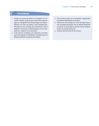 81
Capítulo 10 Sistema óseo, osteología
Actividades
1. Acude a un centro de salud, a un hospital o con tu
médico familiar y solicita que te permitan observar
algunas radiografías de huesos largos correspon-
dientes a un niño, un adulto y varios adolescentes.
Identifica si hay cartílago de crecimiento o disco
epifisario. Comenta tus observaciones con tus com-
pañeros y redacten una conclusión.
2. Cada alumno modelará con plastilina un hueso
para que el grupo lo identifique. Se puede hacer un
dibujo señalando sus partes principales.
3. Si la escuela cuenta con un esqueleto, organizados
en equipos identifiquen los huesos.
4. Observa al microscopio un corte de tejido óseo y
otro de tejido esponjoso. Haz un dibujo señalando
sus partes. Si la escuela no cuenta con las prepara-
ciones, se pueden proyectar.
5. Analicen las funciones de los huesos.
 