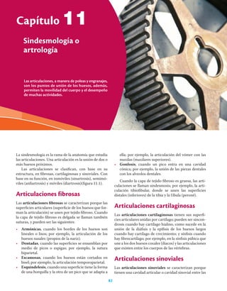 82 Ciencias de la salud
Las articulaciones, a manera de poleas y engranajes,
son los puntos de unión de los huesos, además,
permiten la movilidad del cuerpo y el desempeño
de muchas actividades.
Capítulo
Sindesmología o
artrología
82
La sindesmología es la rama de la anatomía que estudia
las articulaciones. Una articulación es la unión de dos o
más huesos próximos.
Las articulaciones se clasiﬁcan, con base en su
estructura, en ﬁbrosas, cartilaginosas y sinoviales. Con
base en su función, en inmóviles (sinartrosis), semimó-
viles (anﬁartrosis) y móviles (diartrosis)(ﬁgura 11.1).
Articulaciones fibrosas
Las articulaciones ﬁbrosas se caracterizan porque las
superﬁcies articulares (superﬁcie de los huesos que for-
man la articulación) se unen por tejido ﬁbroso. Cuando
la capa de tejido ﬁbroso es delgada se llaman también
suturas, y pueden ser las siguientes:
• Armónicas, cuando los bordes de los huesos son
lineales o lisos; por ejemplo, la articulación de los
huesos nasales (propios de la nariz).
• Dentadas, cuando las superﬁcies se ensamblan por
medio de picos o espigas; por ejemplo, la sutura
biparietal.
• Escamosas, cuando los huesos están cortados en
bisel; por ejemplo, la articulación temporoparietal.
• Esquindelesis, cuando una superﬁcie tiene la forma
de una horquilla y la otra de un pico que se adapta a
ella; por ejemplo, la articulación del vómer con las
maxilas (maxilares superiores).
• Gonfosis, cuando un pico entra en una cavidad
cónica; por ejemplo, la unión de las piezas dentales
con los alveolos dentales.
Cuando la capa de tejido ﬁbroso es gruesa, las arti-
culaciones se llaman sindesmosis; por ejemplo, la arti-
culación tibioﬁbular, donde se unen las superﬁcies
distales (inferiores) de la tibia y la fíbula (peroné).
Articulaciones cartilaginosas
Las articulaciones cartilaginosas tienen sus superﬁ-
cies articulares unidas por cartílago; pueden ser sincon-
drosis cuando hay cartílago hialino, como sucede en la
unión de la diáﬁsis y la epíﬁsis de los huesos largos
cuando hay cartílago de crecimiento; y sínﬁsis cuando
hay ﬁbrocartílago; por ejemplo, en la sínﬁsis púbica que
une a los dos huesos coxales (iliacos) y las articulaciones
que existen entre los cuerpos de las vértebras.
Articulaciones sinoviales
Las articulaciones sinoviales se caracterizan porque
tienen una cavidad articular o cavidad sinovial entre las
11
 