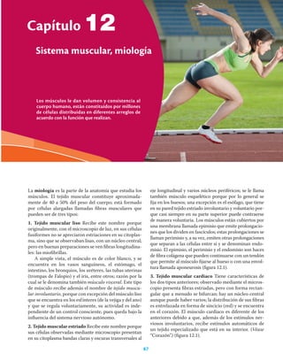 87
Capítulo 12 Sistema muscular, miología
Capítulo
87
12
La miología es la parte de la anatomía que estudia los
músculos. El tejido muscular constituye aproximada-
mente de 40 a 50% del peso del cuerpo; está formado
por células alargadas llamadas ﬁbras musculares que
pueden ser de tres tipos:
1. Tejido muscular liso Recibe este nombre porque
originalmente, con el microscopio de luz, en sus células
fusiformes no se apreciaron estriaciones en su citoplas-
ma, sino que se observaban lisas, con un núcleo central;
pero en buenas preparaciones se ven ﬁbras longitudina-
les: las mioﬁbrillas.
A simple vista, el músculo es de color blanco, y se
encuentra en los vasos sanguíneos, el estómago, el
intestino, los bronquios, los uréteres, las tubas uterinas
(trompas de Falopio) y el iris, entre otros; razón por la
cual se le denomina también músculo visceral. Este tipo
de músculo recibe además el nombre de tejido muscu-
lar involuntario, porque con excepción del músculo liso
que se encuentra en los esfínteres (de la vejiga y del ano)
y que se regula voluntariamente, su actividad es inde-
pendiente de un control consciente, pues queda bajo la
inﬂuencia del sistema nervioso autónomo.
2. Tejido muscular estriado Recibe este nombre porque
sus células observadas mediante microscopio presentan
en su citoplasma bandas claras y oscuras transversales al
eje longitudinal y varios núcleos periféricos; se le llama
también músculo esquelético porque por lo general se
ﬁja en los huesos; una excepción es el esófago, que tiene
en su pared tejido estriado involuntario y voluntario por-
que casi siempre en su parte superior puede contraerse
de manera voluntaria. Los músculos están cubiertos por
una membrana llamada epimisio que emite prolongacio-
nes que los dividen en fascículos; estas prolongaciones se
llaman perimisio y, a su vez, emiten otras prolongaciones
que separan a las células entre sí y se denominan endo-
misio. El epimisio, el perimisio y el endomisio son haces
de ﬁbra colágena que pueden continuarse con un tendón
que permite al músculo ﬁjarse al hueso o con una envol-
tura llamada aponeurosis (ﬁgura 12.1).
3. Tejido muscular cardiaco Tiene características de
los dos tipos anteriores; observado mediante el micros-
copio presenta ﬁbras estriadas, pero con forma rectan-
gular que a menudo se bifurcan; hay un núcleo central
aunque puede haber varios; la distribución de sus ﬁbras
es entrelazada en forma de sincicio (red) y se encuentra
en el corazón. El músculo cardiaco es diferente de los
anteriores debido a que, además de los estímulos ner-
viosos involuntarios, recibe estímulos automáticos de
un tejido especializado que está en su interior. (Véase
“Corazón”.) (ﬁgura 12.1).
Los músculos le dan volumen y consistencia al
cuerpo humano, están constituidos por millones
de células distribuidas en diferentes arreglos de
acuerdo con la función que realizan.
Sistema muscular, miología
 
