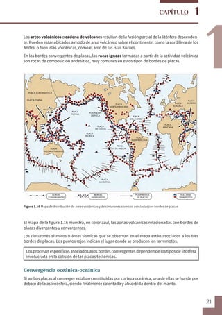 21
1
1
CAPÍTULO
Los arcos volcánicos o cadena de volcanes resultan de la fusión parcial de la litósfera descenden-
te. Pueden estar ubicados a modo de arco volcánico sobre el continente, como la cordillera de los
Andes, o bien islas volcánicas, como el arco de las islas Kuriles.
En los bordes convergentes de placas, las rocas ígneas formadas a partir de la actividad volcánica
son rocas de composición andesítica, muy comunes en estos tipos de bordes de placas.
Figura 1.16 Mapa de distribución de áreas volcánicas y de cinturones sísmicos asociadas con bordes de placas
El mapa de la figura 1.16 muestra, en color azul, las zonas volcánicas relacionadas con bordes de
placas divergentes y convergentes.
Los cinturones sísmicos o áreas sísmicas que se observan en el mapa están asociados a los tres
bordes de placas. Los puntos rojos indican el lugar donde se producen los terremotos.
Los procesos específicos asociados a los bordes convergentes dependen de los tipos de litósfera
involucrada en la colisión de las placas tectónicas.
Convergencia oceánica-oceánica
Si ambas placas al converger estaban constituidas por corteza oceánica, una de ellas se hunde por
debajo de la astenósfera, siendo finalmente calentada y absorbida dentro del manto.
PLACA EUROASIÁTICA
PLACA CHINA
PLACA
INDOAUSTRALIANA
PLACA
FILIPINA
PLACA
PACÍFICA
PLACA
DE COCOS
PLACA JUAN
DE FUCA
PLACA
DE NAZCA
PLACA
DEL CARIBE
PLACA
NORTEAMERICANA
PLACA
AFRICANA
PLACA
EURÁSICA
PLACA
ARÁBIGA
PLACA
ANTÁRTICA
BORDES
CONVERGENTES
BORDES
DIVERGENTES
MOVIMIENTOS
DE PLACAS
VOLCANES
TERREMOTOS
PLACA
SUDAMERICANA
 