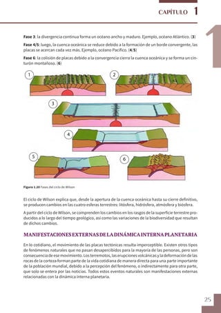 25
1
1
CAPÍTULO
1 2
3
4
5 6
Fase 3: la divergencia continua forma un océano ancho y maduro. Ejemplo, océano Atlántico. (3)
Fase 4/5: luego, la cuenca oceánica se reduce debido a la formación de un borde convergente, las
placas se acercan cada vez más. Ejemplo, océano Pacífico. (4/5)
Fase 6: la colisión de placas debido a la convergencia cierra la cuenca oceánica y se forma un cin-
turón montañoso. (6)
Figura 1.20 Fases del ciclo de Wilson
El ciclo de Wilson explica que, desde la apertura de la cuenca oceánica hasta su cierre definitivo,
se producen cambios en las cuatro esferas terrestres: litósfera, hidrósfera, atmósfera y biósfera.
A partir del ciclo de Wilson, se comprenden los cambios en los rasgos de la superficie terrestre pro-
ducidos a lo largo del tiempo geológico, así como las variaciones de la biodiversidad que resultan
de dichos cambios.
MANIFESTACIONESEXTERNASDELADINÁMICAINTERNAPLANETARIA
En lo cotidiano, el movimiento de las placas tectónicas resulta imperceptible. Existen otros tipos
de fenómenos naturales que no pasan desapercibidos para la mayoría de las personas, pero son
consecuenciadeesemovimiento.Losterremotos,laserupcionesvolcánicasyladeformacióndelas
rocas de la corteza forman parte de la vida cotidiana de manera directa para una parte importante
de la población mundial, debido a la percepción del fenómeno, o indirectamente para otra parte,
que solo se entera por las noticias. Todos estos eventos naturales son manifestaciones externas
relacionadas con la dinámica interna planetaria.
 