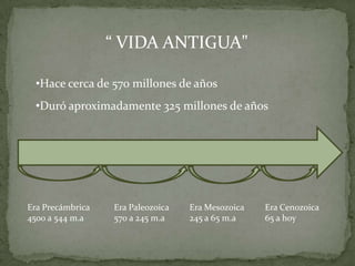 “ VIDA ANTIGUA"
•Hace cerca de 570 millones de años
•Duró aproximadamente 325 millones de años
Era Precámbrica
4500 a 544 m.a
Era Paleozoica
570 a 245 m.a
Era Mesozoica
245 a 65 m.a
Era Cenozoica
65 a hoy
