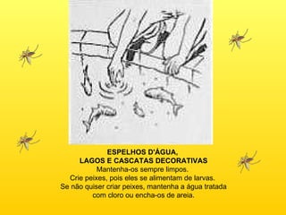 ESPELHOS D'ÁGUA,  LAGOS E CASCATAS DECORATIVAS Mantenha-os sempre limpos.  Crie peixes, pois eles se alimentam de larvas.  Se não quiser criar peixes, mantenha a água tratada com cloro ou encha-os de areia. 