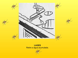 LAGES Retire a água acumulada. 