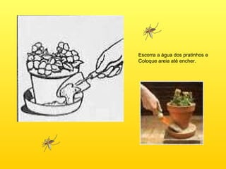 Escorra a água dos pratinhos e  Coloque areia até encher. 