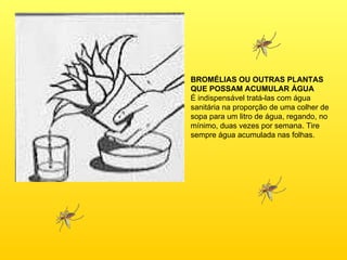BROMÉLIAS OU OUTRAS PLANTAS QUE POSSAM ACUMULAR ÁGUA É indispensável tratá-las com água sanitária na proporção de uma colher de sopa para um litro de água, regando, no mínimo, duas vezes por semana. Tire sempre água acumulada nas folhas. 