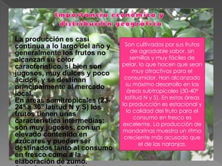 Importancia económica y distribución geográficaLa producción es casi continua a lo largo del año y generalmente los frutos no alcanzan su color característico, si bien son jugosos, muy dulces y poco ácidos, y se destinan principalmente al mercado local.En áreas semitropicales (23-24º a 30º latitud N y S) los frutos tienen unas característica intermedias: son muy jugosos, con un elevado contenido en azúcares y pueden ser destinados tanto al consumo en fresco como a la elaboración de zumo.Actualmente los cítricos son los frutos de mayor producción en el mundoSon cultivados por sus frutos de agradable sabor, sin semillas y muy fáciles de pelar, lo que hacen que sean muy atractivos para el consumidor. Han alcanzado su máximo desarrollo en las áreas subtropicales (30-40º latitud N y S). En estas áreas la producción es estacional y la calidad del fruto para el consumo en fresco es excelente. La producción de mandarinas muestra un ritmo creciente más acusado que el de las naranjas.