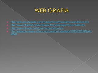 WEB GRAFIAhttp://articulos.infojardin.com/Frutales/fichas/mandarina-mandarinas.htmhttp://www.infojardin.net/fichas/plantas-medicinales/citrus-nobilis.htmhttp://www.infoagro.com/citricos/mandarina.htmhttp://espanol.answers.yahoo.com/question/index?qid=20090523205909AA1gM2m