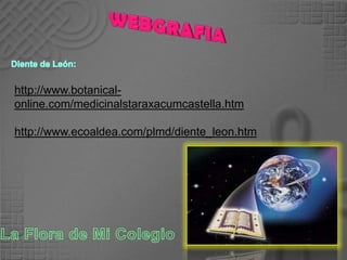 WEBGRAFIADiente de León:http://www.botanical-online.com/medicinalstaraxacumcastella.htmhttp://www.ecoaldea.com/plmd/diente_leon.htmLa Flora de Mi Colegio