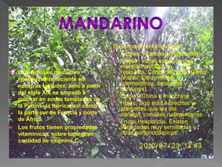 MANDARINODescripción del mandarino: Familia: Rutáceas (Rutaceae).Existen varias especies de mandarinas: Citrus reticulata, Citrus deliciosa, Citrus unshiu, Citrus reshni (clementinas, satsumas y comunes). Origen: China e Indochina. Hojas: algo más estrechas y alargadas que las del naranjo, con alas rudimentarias.  Fruto: Hesperidio. Existen variedades muy semilladas y otras partenocárpicas.Este árbol es de cultivo relativamente reciente en nuestras latitudes; solo a partir del siglo XIX se empezó a cultivar en zonas templadas de la Península Ibérica, así como en la parte sur de Francia y norte de África.Los frutos tienen propiedades vitamínicas, sobre todo gran cantidad de vitamina C.