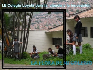 I.E Colegio Loyola para la  ciencia y la innovación LA FLORA DE MI COLEGIO 