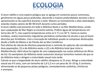 O atum-rabilho é uma espécie pelágica que se agrega em cardumes pouco numerosos,
geralmente em águas pouco profundas, descendo a maiores profundidades durante o dia e
aproximando-se da superfície durante a noite. Movem-se normalmente a altas velocidades,
estando citados valores de 80–90 km/h durante curtos períodos.
O atum-rabilho está presente em todo o Atlântico Norte e no Mar Mediterrâneo, sendo
que a população do Mar Negro se encontra extinta. Prefere águas de temperaturas em
torno dos 20 °C, mas suporta temperaturas entre os 5 °C e os 30 °C. Como os outros
tunídeos, realiza movimentos migratórios periódicos conhecidos há séculos e que já foram
descritos por Aristóteles. Com a marcação de indivíduos poude-se comprovar deslocações
desde o Golfo do México e da Flórida até ao Mar Cantábrico.
Para efeitos de cálculo de efectivos populacionais e controlo de capturas são consideradas
duas populações: (1) a do Atlântico oeste; e (2) a do Atlântico leste (que inclui o
Mediterrâneo): Além disso há registo de uma subpopulação nas costas atlânticas da África
do Sul. Os exemplares do Atlântico oeste costumam alcançar tamanhos maiores do que os
do Atlântico leste e atingem a maturidade sexual mais tarde.
Calcula-se que a longevidade do atum-rabilho ultrapasse os 15 anos. Atinge a maturidade
sexual aos 4-5 anos, com um tamanho de 1,0-1,2 m e um peso de 15–25 kg. É carnívoro,
alimentando-se de pequenos peixes pelágicos, nomeadamente sardinhas, chicharros
e arenques.
 