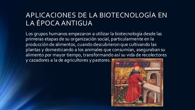 Aplicaciones De La Biotecnología En La época Antigua Y