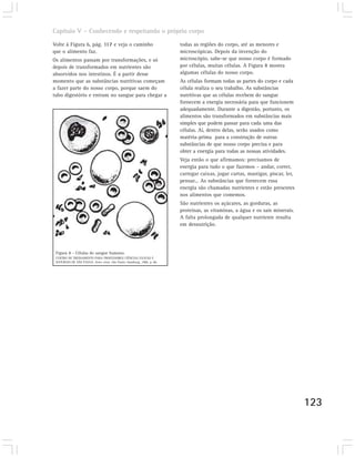 Capítulo V – Conhecendo e respeitando o próprio corpo

Volte à Figura 6, pág. 117 e veja o caminho                             todas as regiões do corpo, até as menores e
que o alimento faz.                                                     microscópicas. Depois da invenção do
Os alimentos passam por transformações, e só                            microscópio, sabe-se que nosso corpo é formado
depois de transformados em nutrientes são                               por células, muitas células. A Figura 8 mostra
absorvidos nos intestinos. É a partir desse                             algumas células do nosso corpo.
momento que as substâncias nutritivas começam                           As células formam todas as partes do corpo e cada
a fazer parte do nosso corpo, porque saem do                            célula realiza o seu trabalho. As substâncias
tubo digestório e entram no sangue para chegar a                        nutritivas que as células recebem do sangue
                                                                        fornecem a energia necessária para que funcionem
                                                                        adequadamente. Durante a digestão, portanto, os
                                                                        alimentos são transformados em substâncias mais
                                                                        simples que podem passar para cada uma das
                                                                        células. Aí, dentro delas, serão usados como
                                                                        matéria-prima para a construção de outras
                                                                        substâncias de que nosso corpo precisa e para
                                                                        obter a energia para todas as nossas atividades.
                                                                        Veja então o que afirmamos: precisamos de
                                                                        energia para tudo o que fazemos – andar, correr,
                                                                        carregar caixas, jogar cartas, mastigar, piscar, ler,
                                                                        pensar... As substâncias que fornecem essa
                                                                        energia são chamadas nutrientes e estão presentes
                                                                        nos alimentos que comemos.
                                                                        São nutrientes os açúcares, as gorduras, as
                                                                        proteínas, as vitaminas, a água e os sais minerais.
                                                                        A falta prolongada de qualquer nutriente resulta
                                                                        em desnutrição.




 Figura 8 - Células do sangue humano.
 CENTRO DE TREINAMENTO PARA PROFESSORES CIÊNCIAS EXATAS E
 NATURAIS DE SÃO PAULO. Seres vivos. São Paulo: Hamburg, 1986. p. 86.




                                                                                                                                123
 